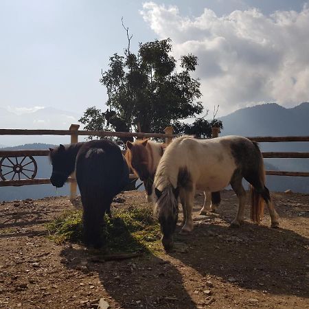 Luech Da Boerz Daire Antermoia Dış mekan fotoğraf