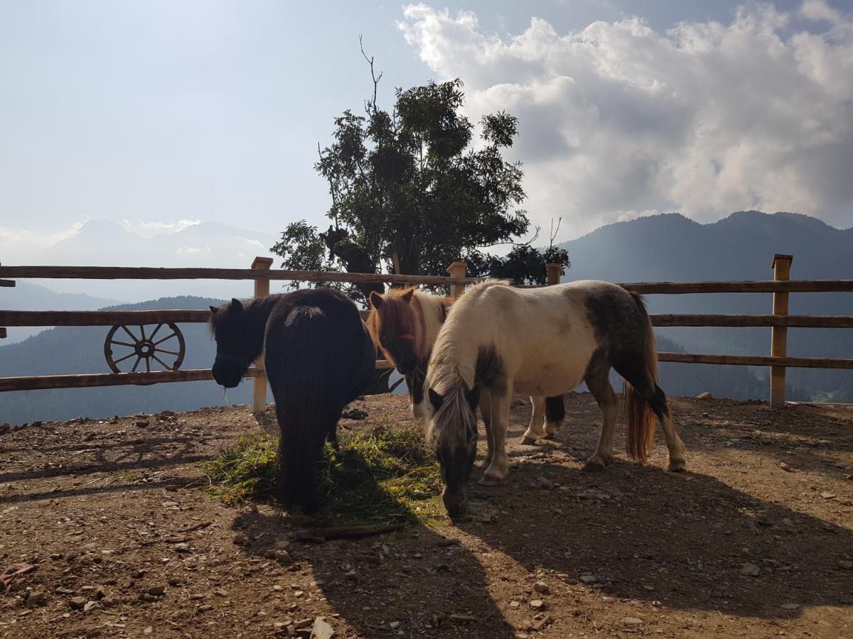 Luech Da Boerz Daire Antermoia Dış mekan fotoğraf